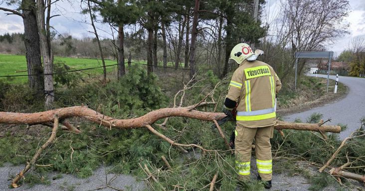 Szabadtéri tűz és fakidőlések Vas megyében
