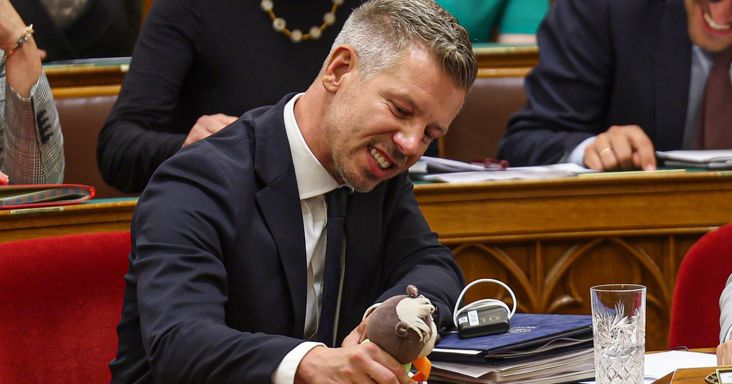 Magyar Péter helyett a TV Maci szavazott a parlamentben – Hihetetlen galéria!