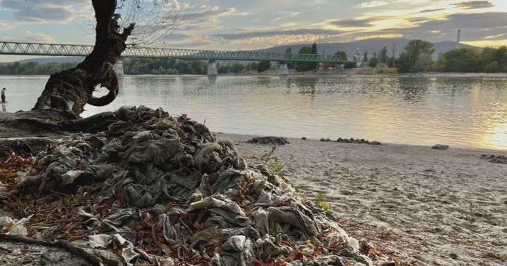 Csomókban hevernek a nedves törlőkendők a palotai-szigeti Duna-parton