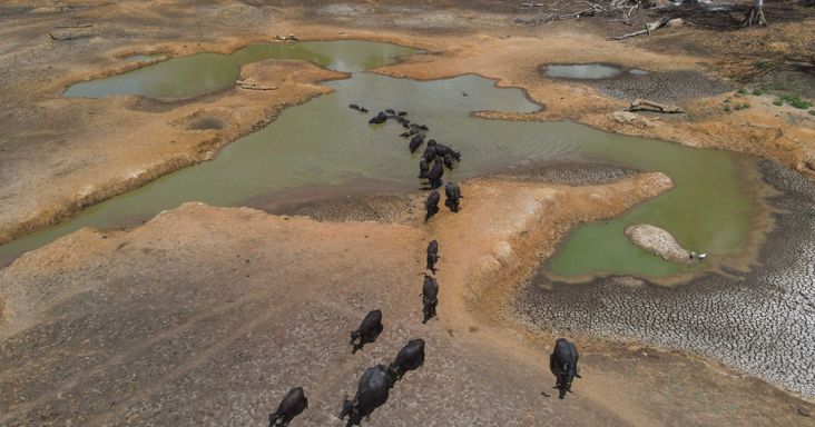 A szuper El Nino már most pusztítást végez: íme, mi várható