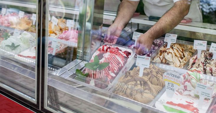Koszos hűtők, hiányzó fertőtlenítő, szabálytalan tárolás: ezeket találták a nyári ellenőrzéseken