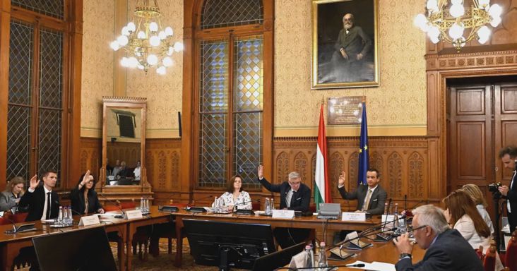 Az MNB-botrányt vizsgáló bizottság nem kérte fel közös szakértőnek a Transparency Internationalt