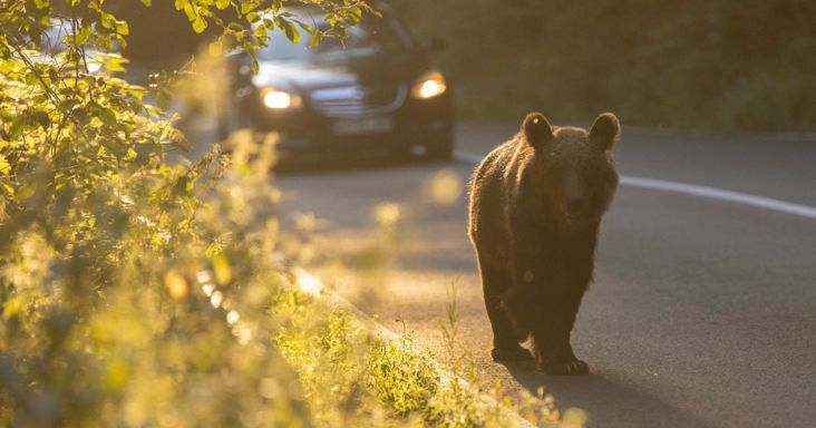 Megtorpantak a fejlesztések a szomszédban is: a lakásépítések közel harmada egyszerűen eltűnt
