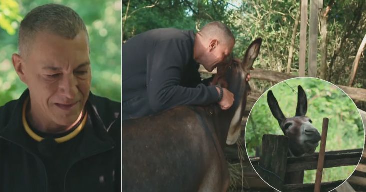 Farm VIP: Németh Kristóf az édesapját látja a szamárban