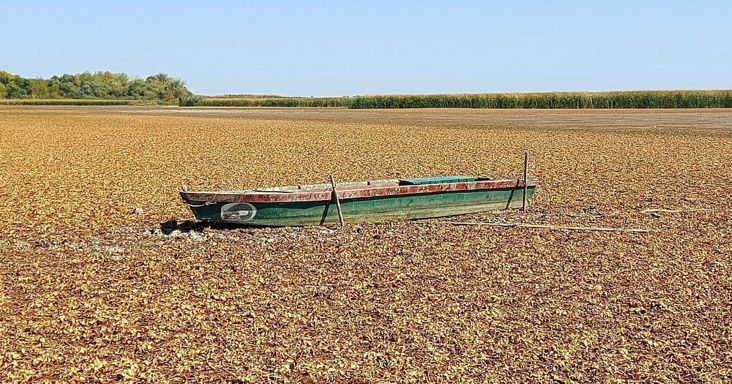 Katasztrófa: odalett a Tisza tó, gyom nő a Kőrösök holtágainak medrében, víz nélkül maradtak a vízimadarak