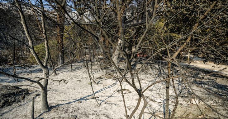 Tűzvész Brac szigetén: megszólalt a minisztérium a kimenekített csoportról