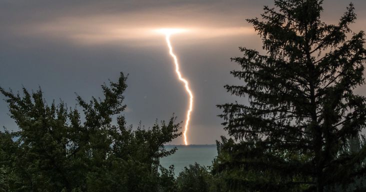 Fákat döntött ki a szerda esti vihar